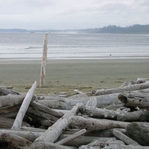 Meet your Posher, Darlene